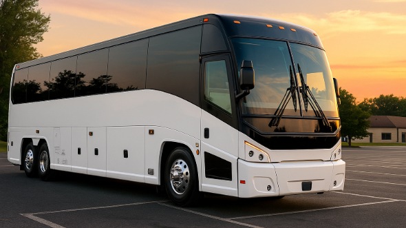 federal way bachelor and bachelorette party bus rentals